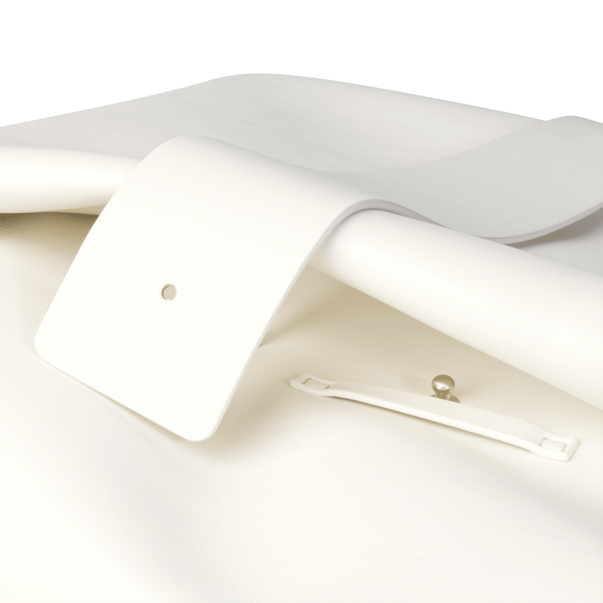 LST_Bone_7_e8c0f32453.png